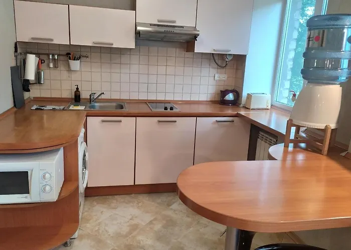 Great View Apartaments Near Lavra