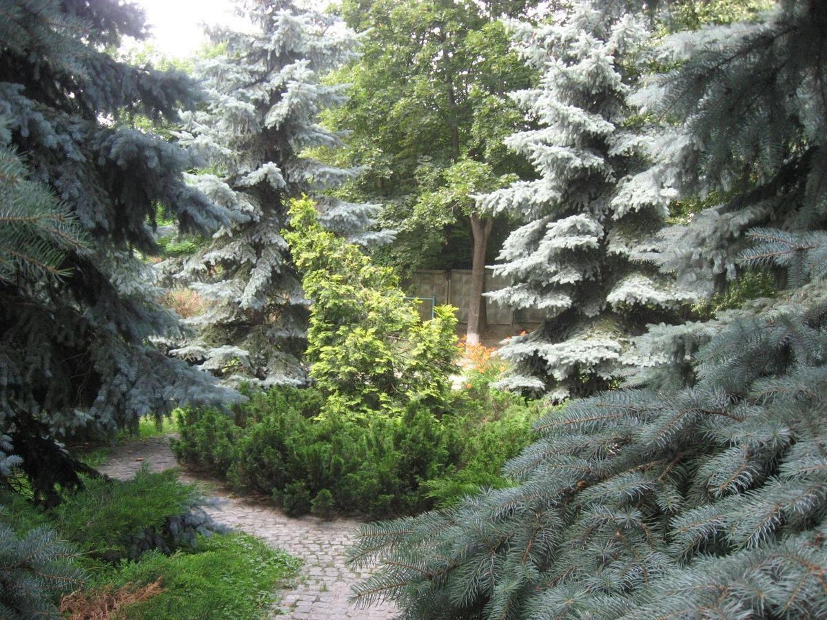 Great View Near Lavra *